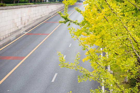 马路 俯拍马路 柏油路 公交车