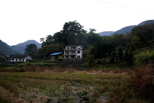 村庄风景