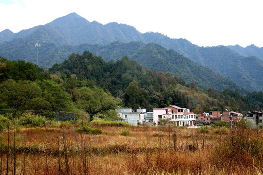 山村