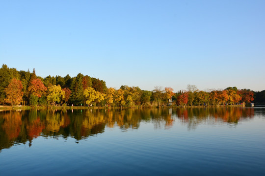 湖畔彩色树林