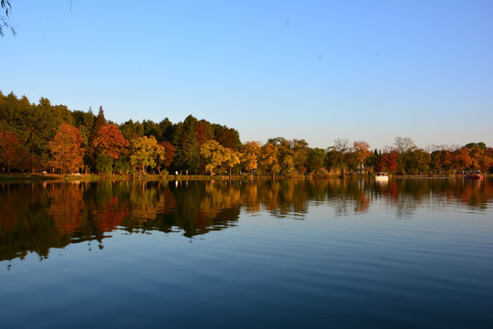 静谧湖面 湖畔美景