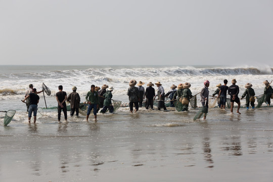 海边 捕捞 渔民 阳西 拖网