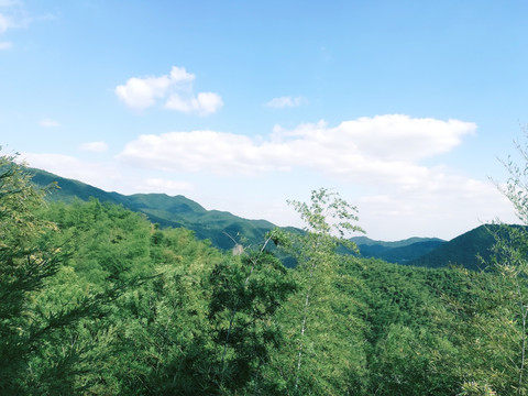 山景区