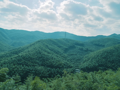 山景区