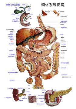 消化系统疾病