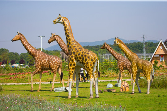 动物主题公园 长颈鹿 模型