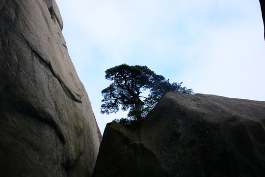 天柱山风光