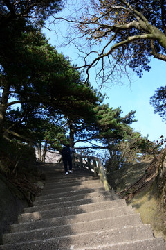 AAAAA天柱山旅游