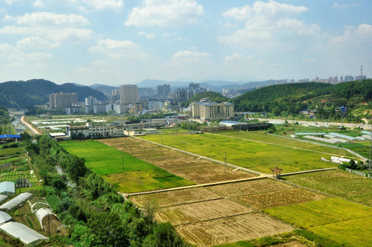 农田风景