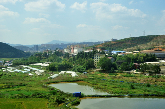 乡村景色