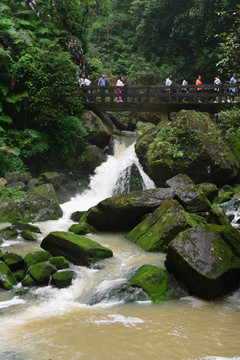 小桥 峡谷溪流 山谷河流