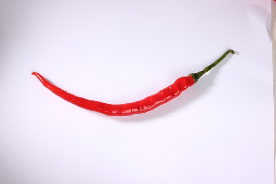 一只红辣椒