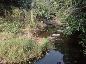 小溪流