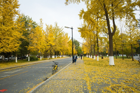 中国人民大学 校园风光