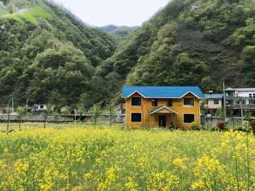 农家 农村 油菜花 民居 民房