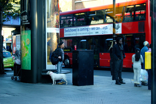 英国伦敦街景 街景 自驾游 伦