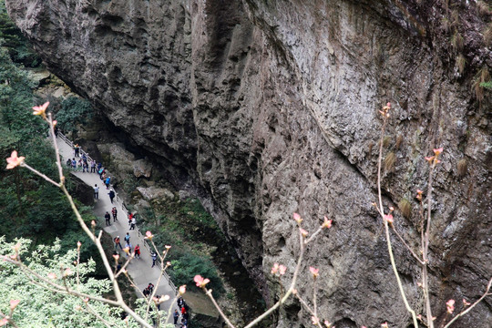 雁荡山断肠崖