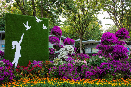 柳州市首届三角花展美图