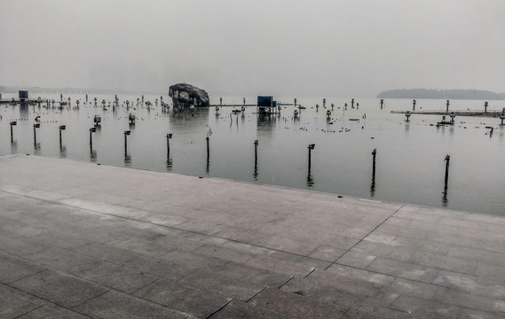 雨中金鸡湖