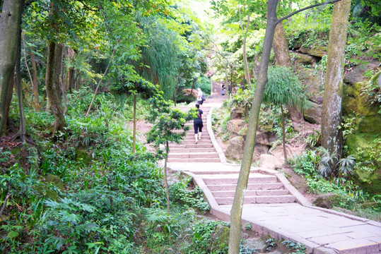 青城山途中山路