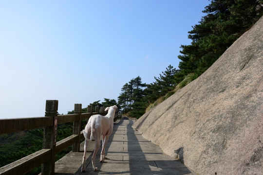 天柱山旅游 天柱山摄影