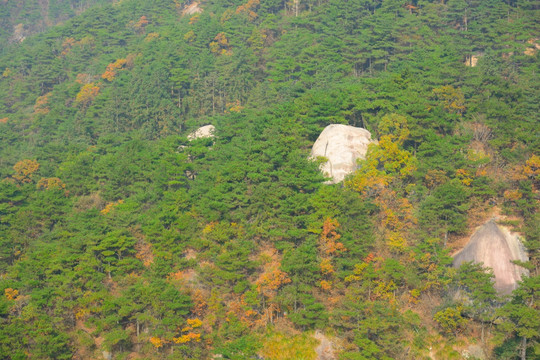 天柱山 天柱山风景