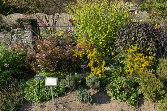 康奈尔大学植物园