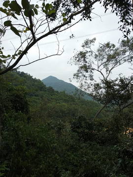 山中风景