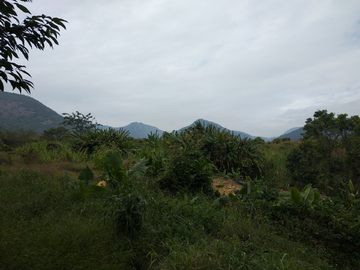 山野风景