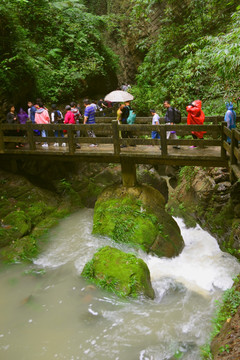 小桥 峡谷溪流 山谷河流