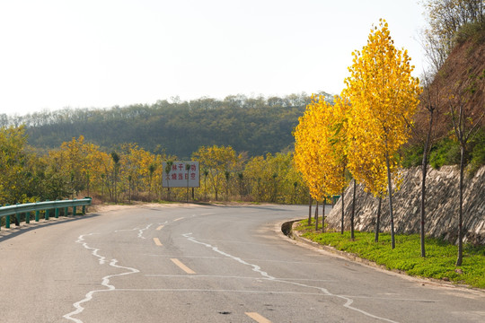 山村公路