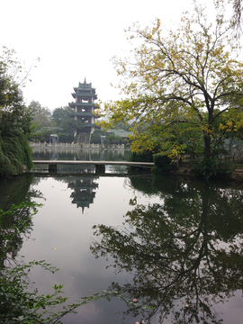 新都桂湖公园风景