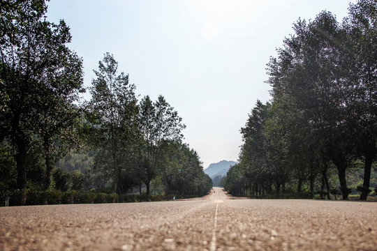 低角度拍摄乡村路