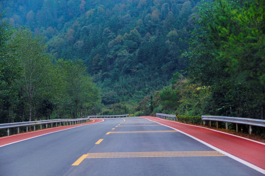 绿道乡村路