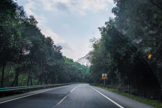 山林路