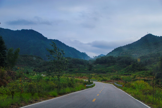 山路弯弯