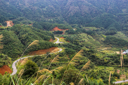 蜿蜒盘山公路