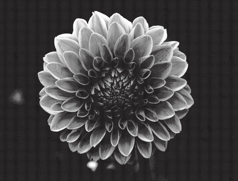 板畫花團(tuán)