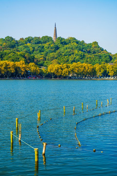 西湖秋景