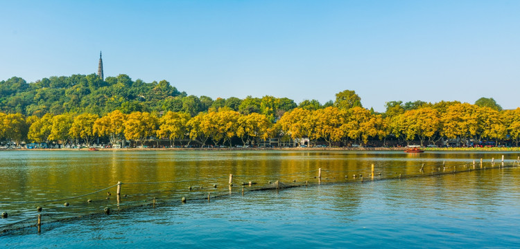 西湖秋景