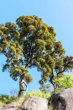 三清山风光