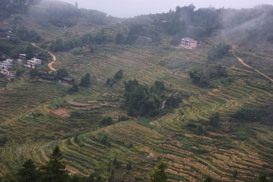 山背梯田