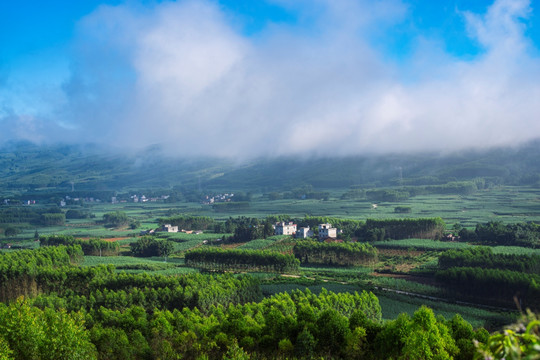 风景