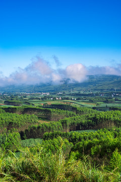 风景