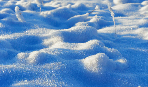 雪韵