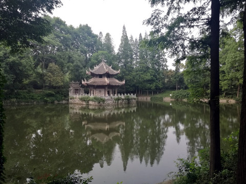 习家池风景