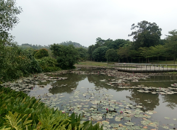 莲塘风景