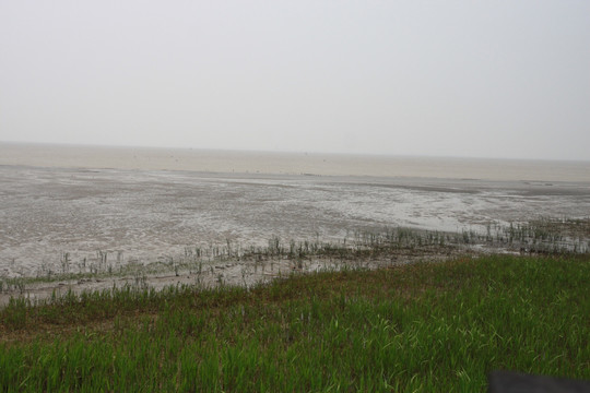 长江边湿地