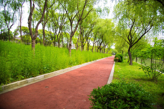 上海闵行区绿道塑胶跑道