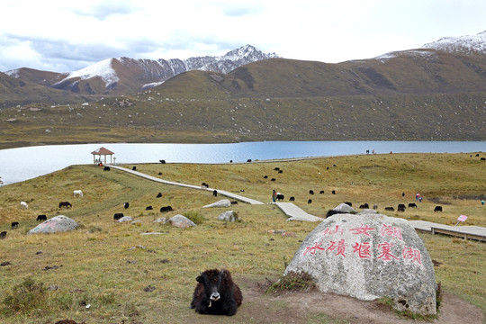 高原